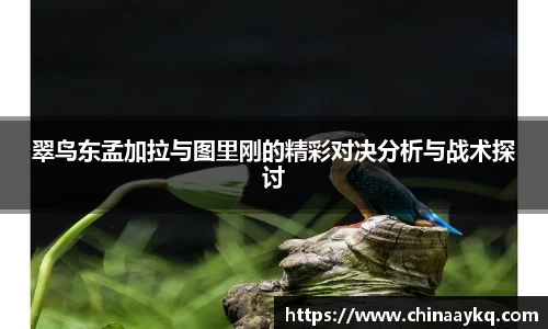 三亿体育官网
